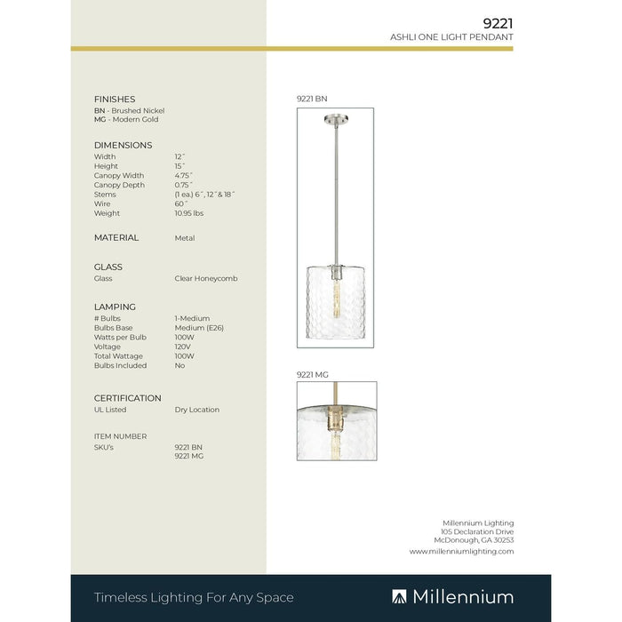 Open Box - Millennium Lighting 9221-MG - Pendants Indoor Lighting